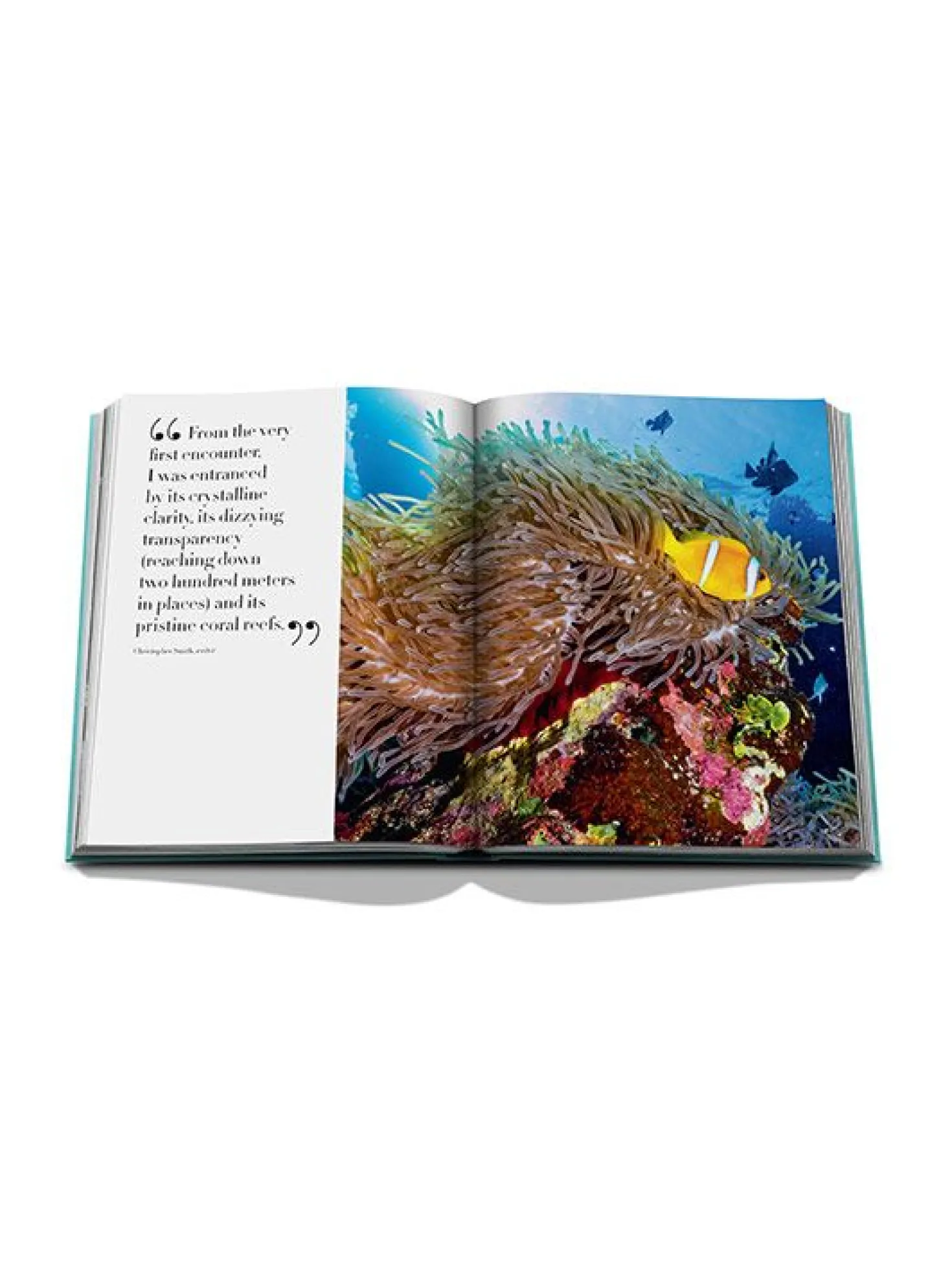 Assouline Boek Red Sea The Saudi Coast